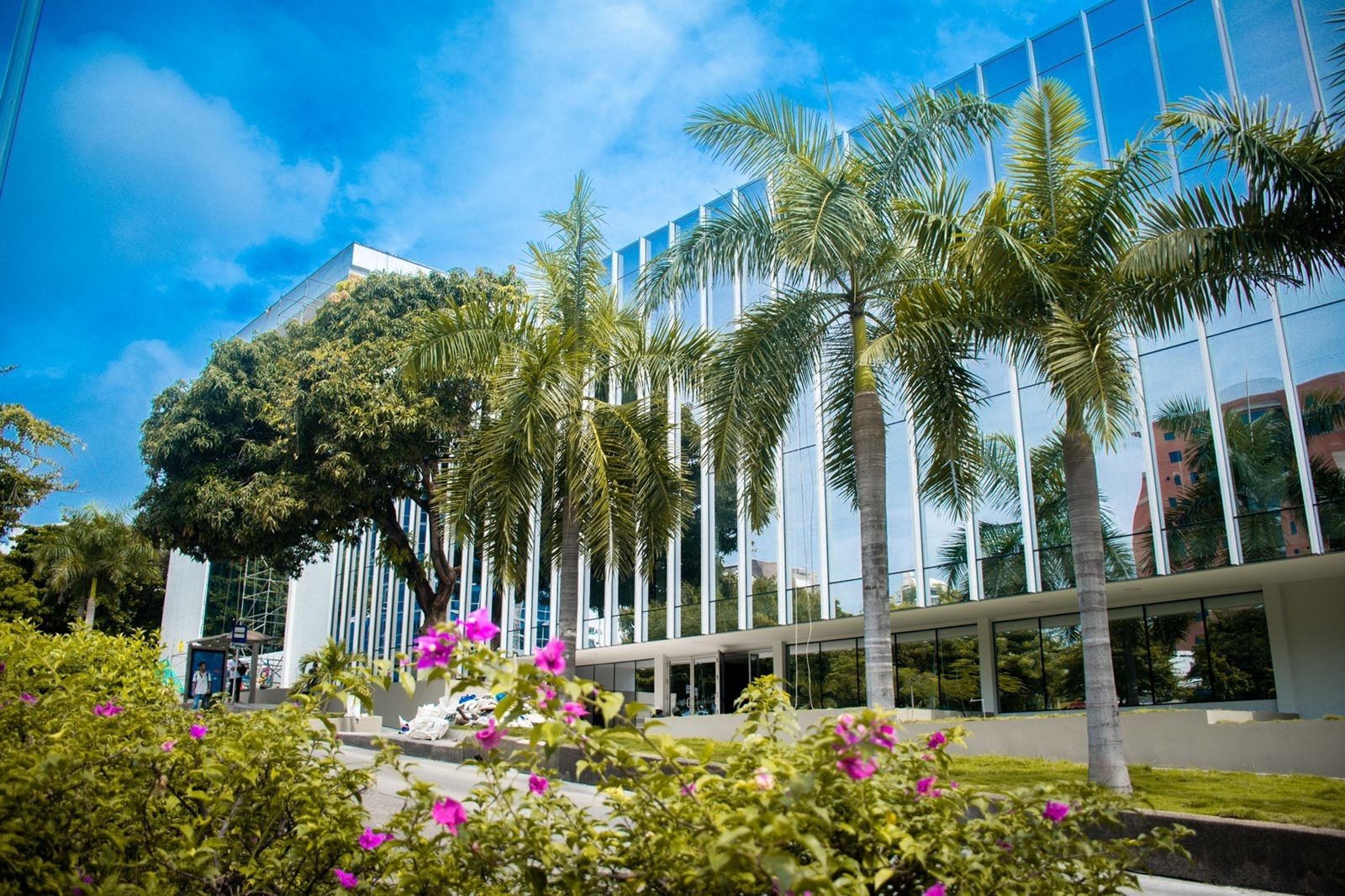 Atlántico - Universidad Autónoma del Caribe