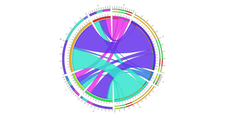 визуализатор для решения сложных задач Circos 