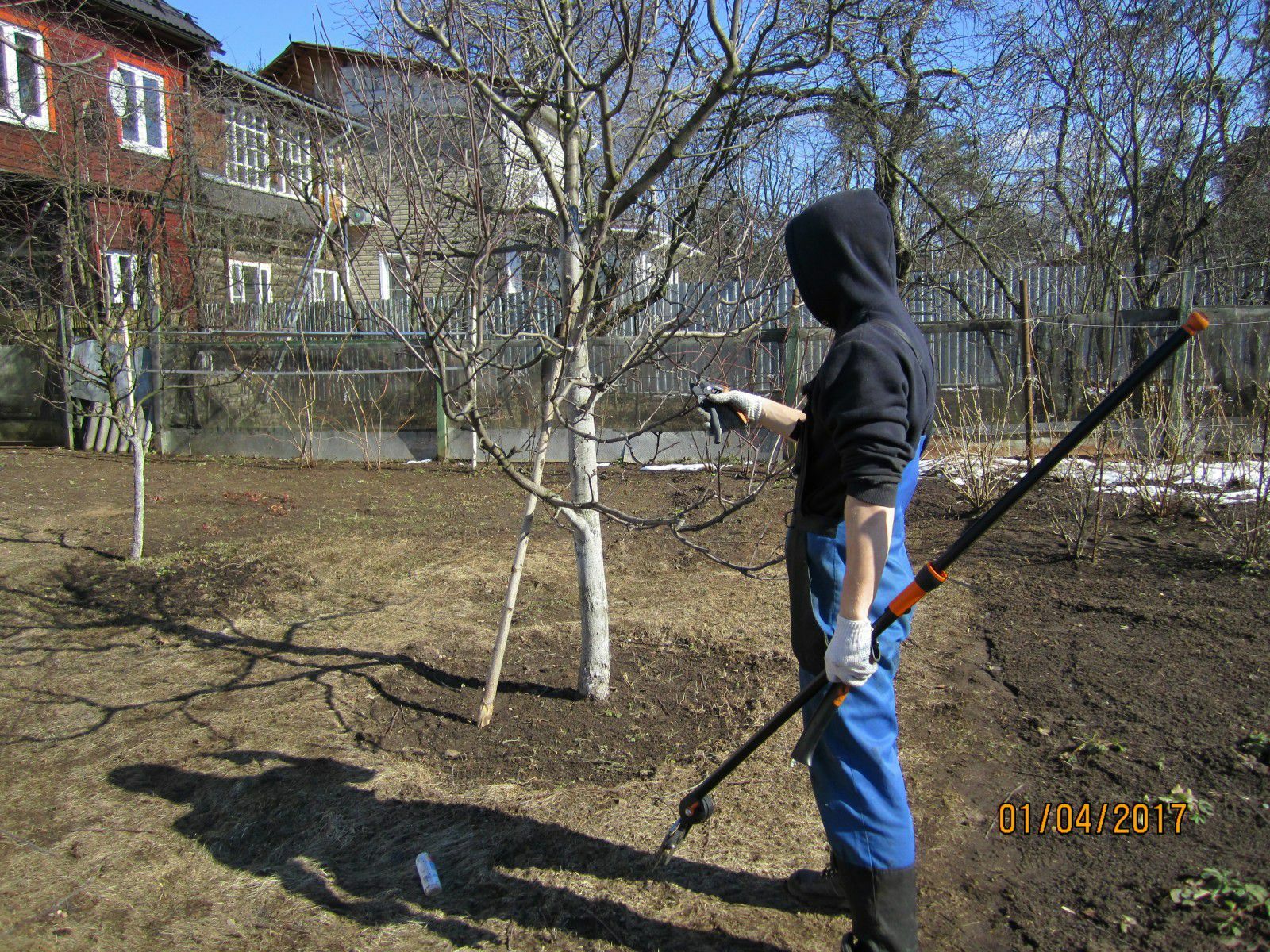 Обрезка плодовых деревьев в Москве и Московской области | компания  «Красивый-участок.рф»