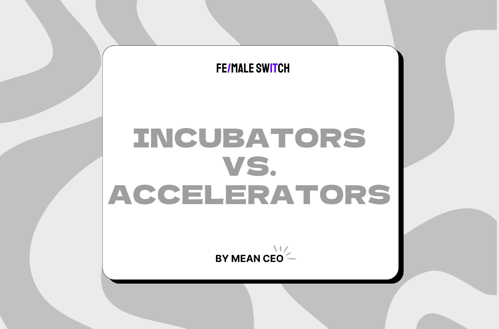 startup-incubator-accelerator