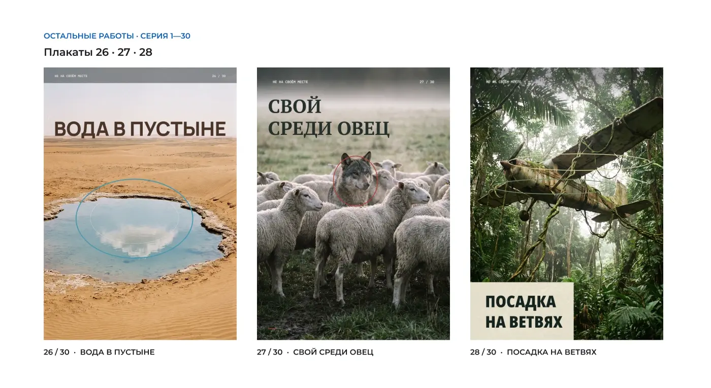 Плакаты: оазис в пустыне, волк среди овец и самолёт среди ветвей в джунглях.