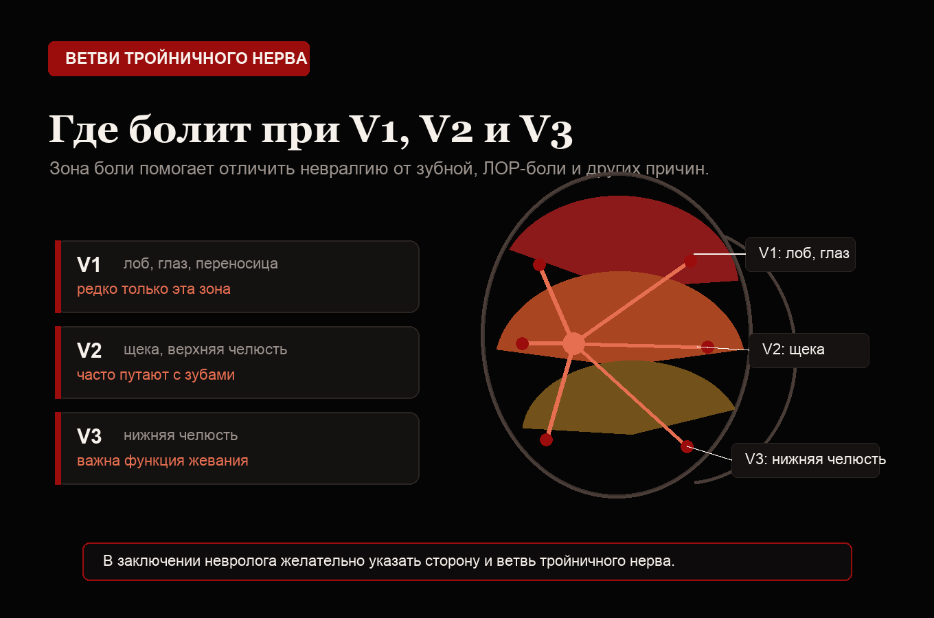 Ветви тройничного нерва V1 V2 V3 и зоны боли на лице