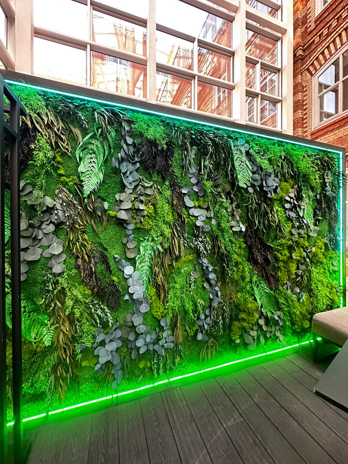 Мох и растения