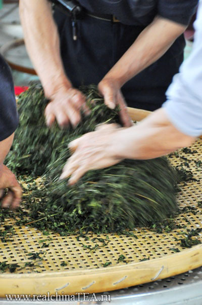 Так, руками производят самые лучшие сорта чая Тегуаньинь