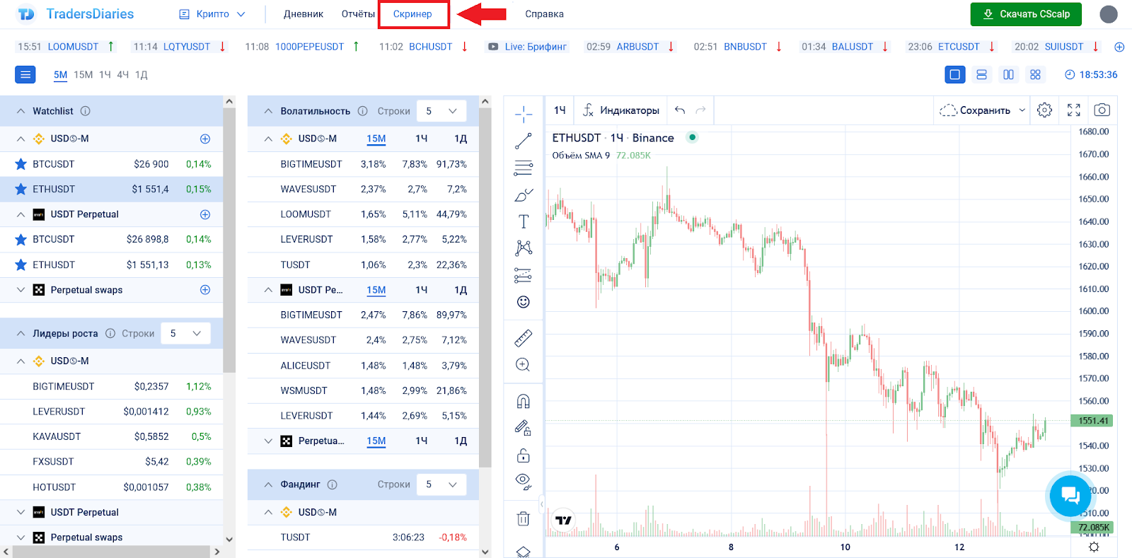 Tradersdiaries. Дневник трейдера cscalp. Tradersdiaries. Tradersdiaries. Журнал трейдера.