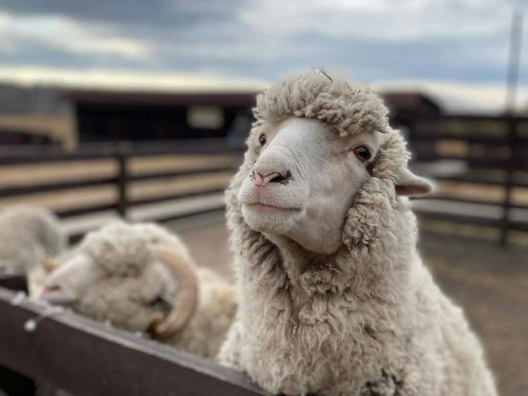фото парня и девушки на романтическом свидании в публичном месте