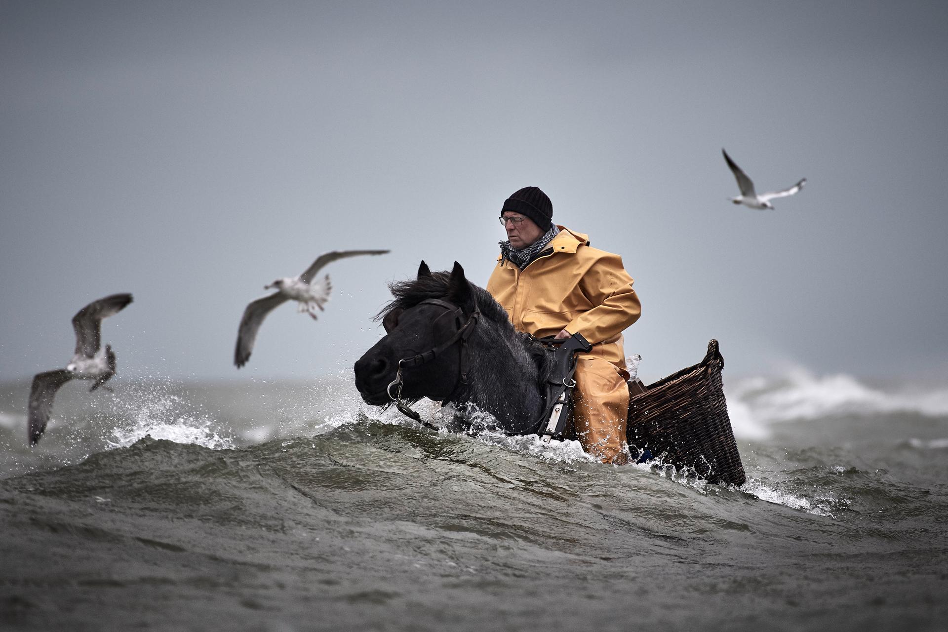 Belgium | Kristina Steiner. Stefaan rides his horse Dina while shrimp fishing in the shallow waters of the North Sea, a centuries-old coastal tradition now at risk of disappearing.