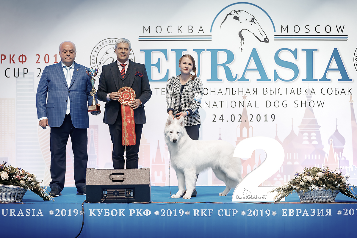 Федеральный центр информатизации. Центризбирком рф официальный сайт. Фци при цик руководитель. Федеральный центр осуществляет. Центральная избирательная комиссия.