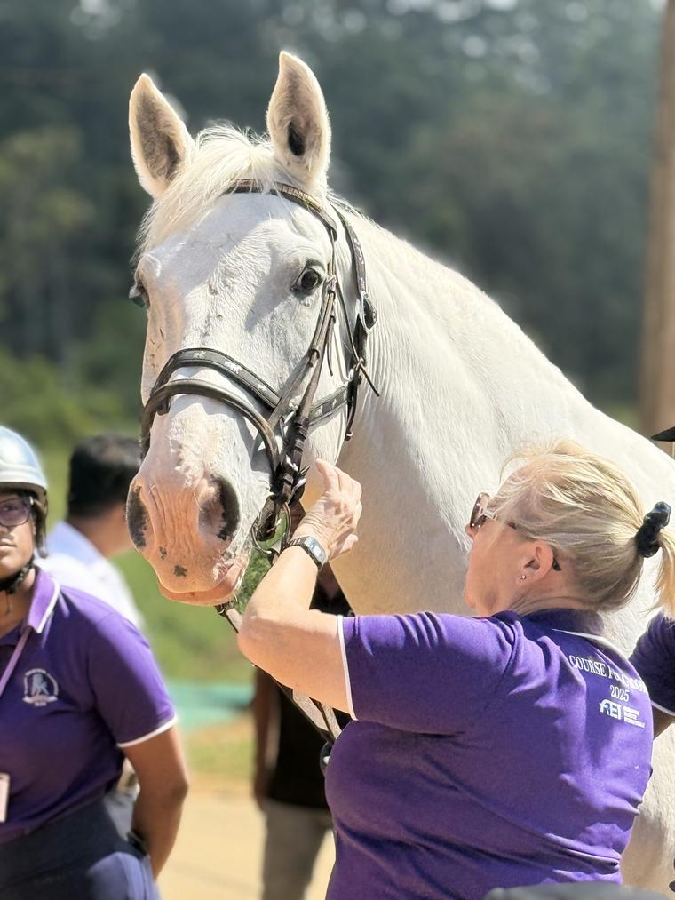 Horse handling session at Vonfidel Ranch in Sri Lanka, showing calm groundwork and trust-based horsemanship between handler and horse before riding. Ethical equestrian practice focused on communication, discipline, and horse welfare within a low-volume ri