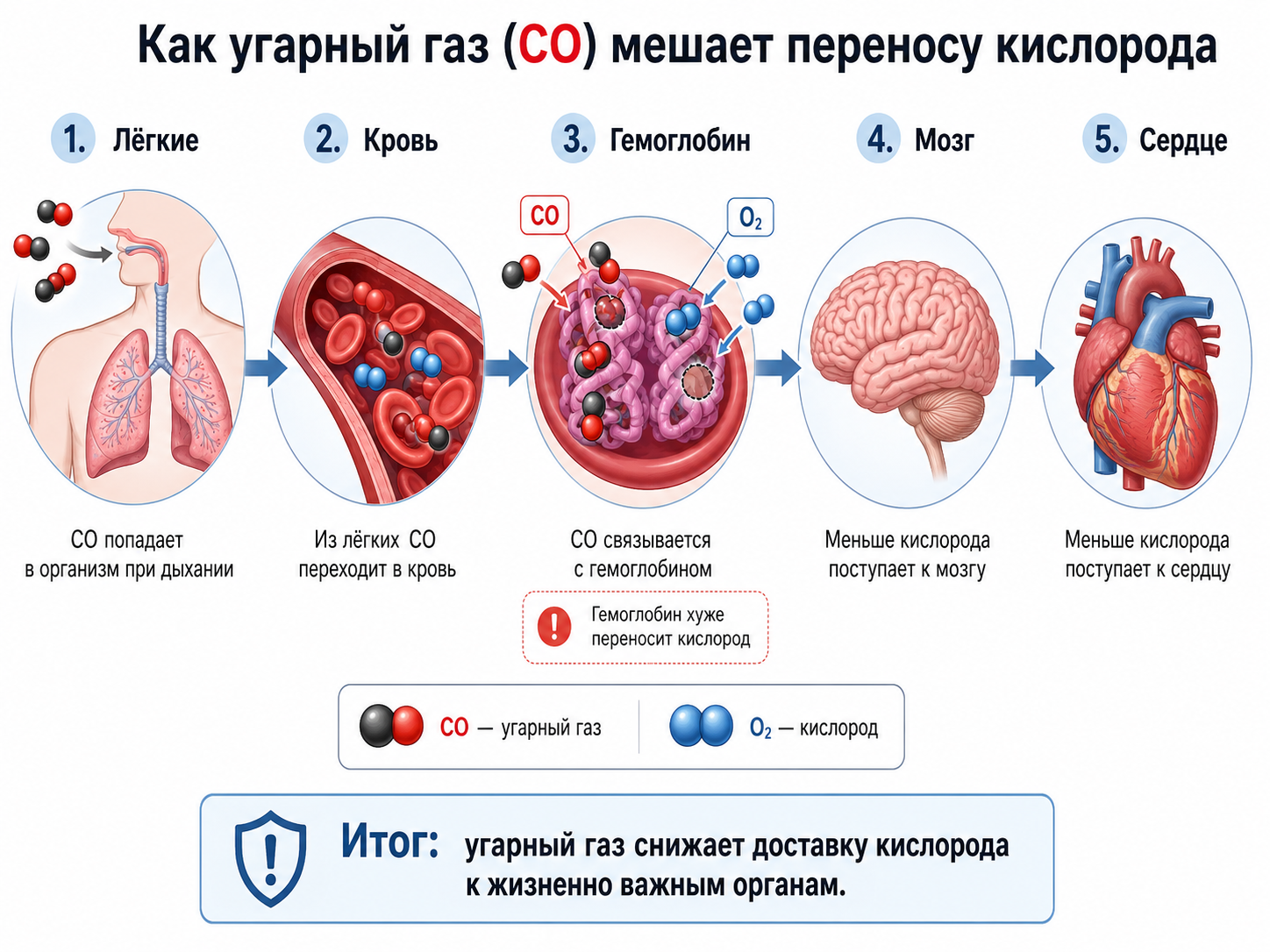 как CO попадает в организм