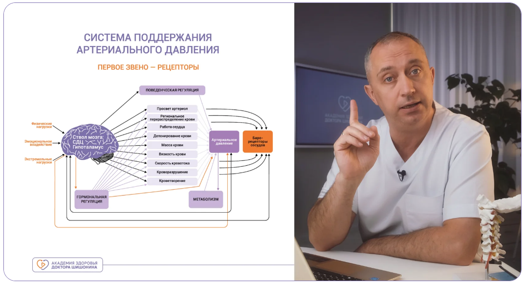 Как проходит обучение — слайд 2