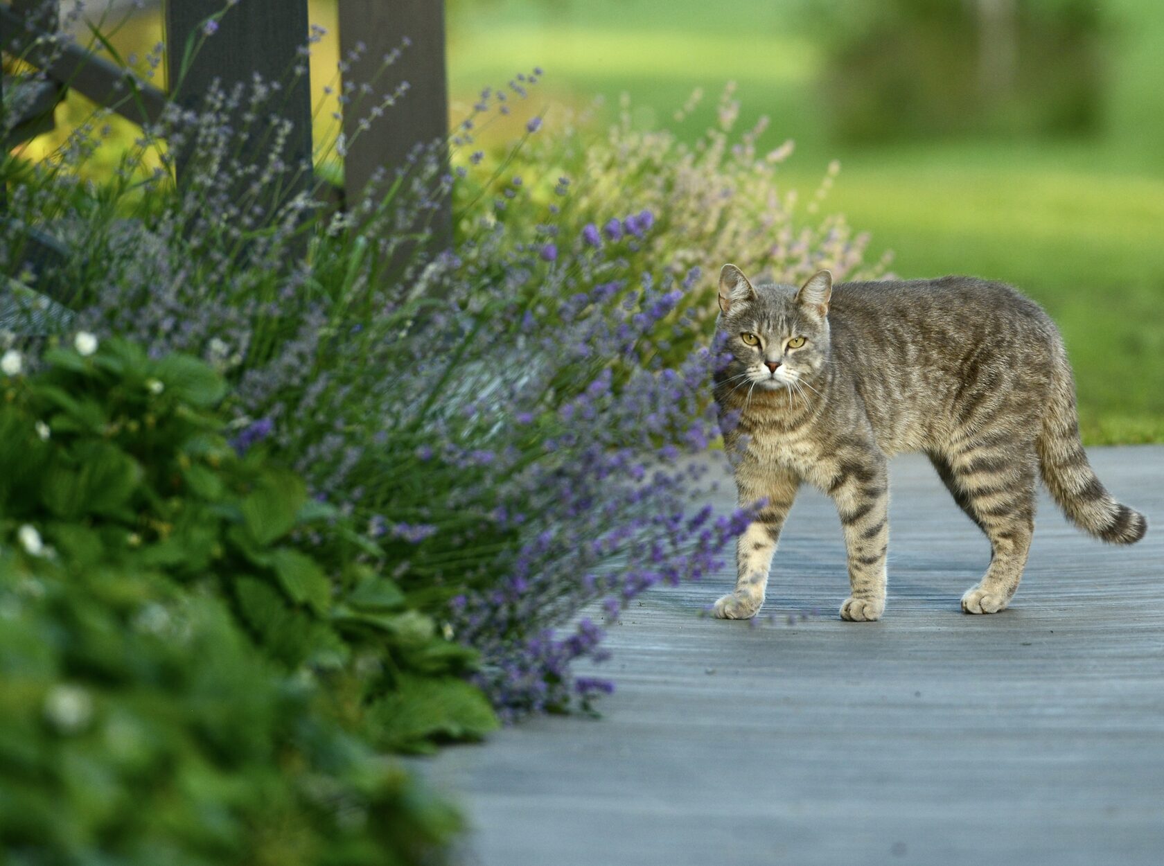 Имел место разговор. Разговор между мужчиной и женщиной. «предложение» — энн флетчер (2009). Мужчина и женщина в офисе. Общение двух людей.
