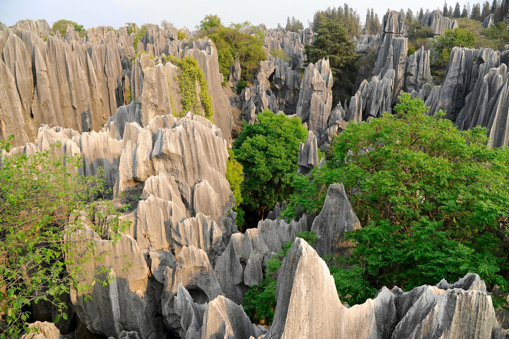 каменный лес в китае