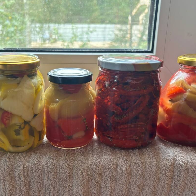 Заготовки на зиму от студентов