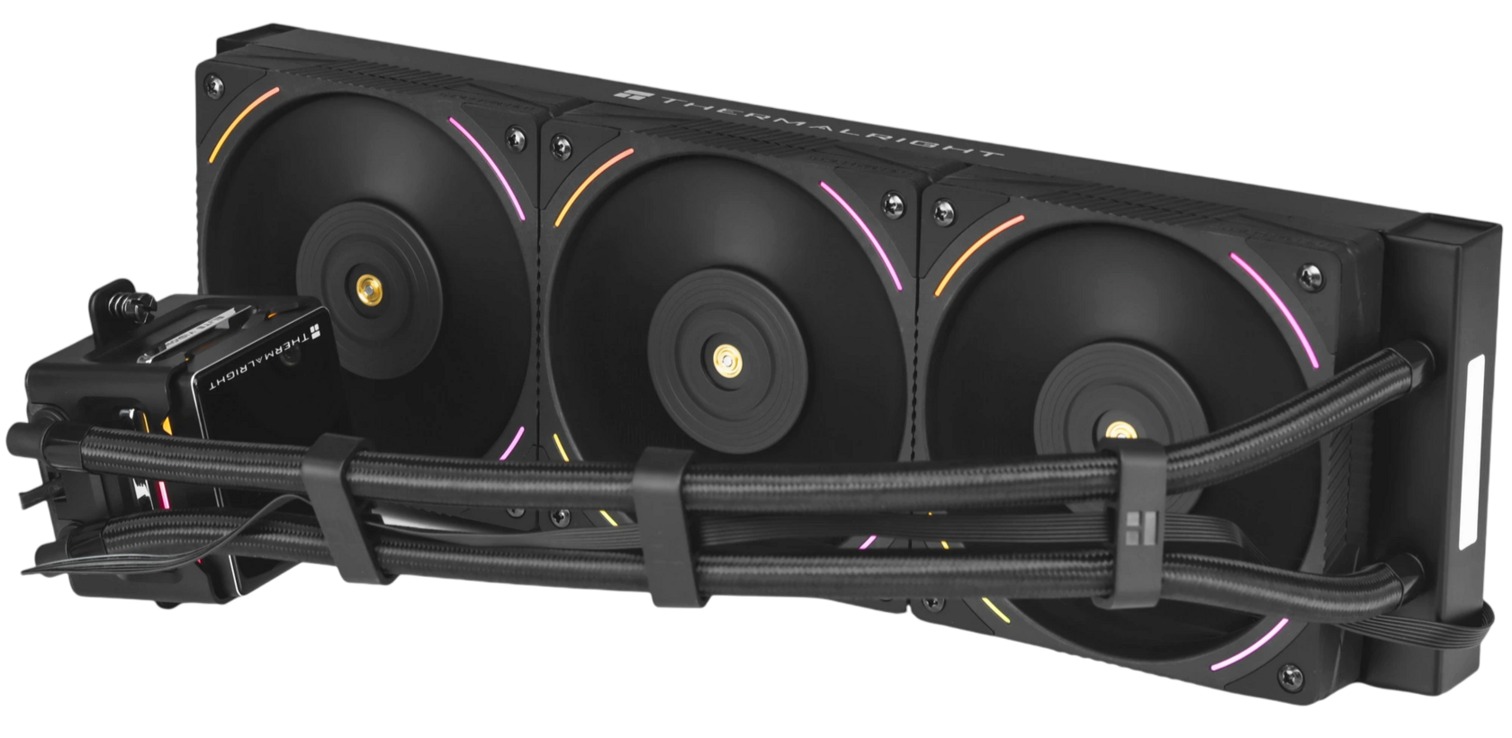 Ocypus Lota A40