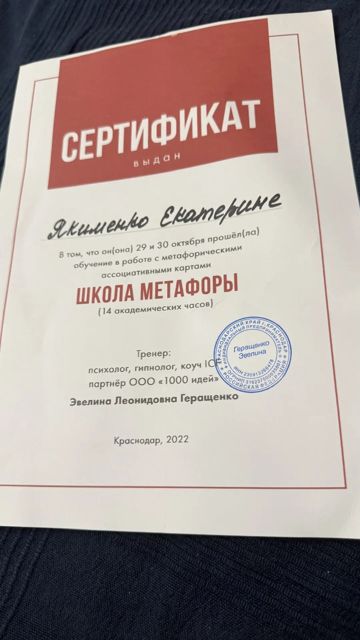 Сертификат «Школа метафоры»