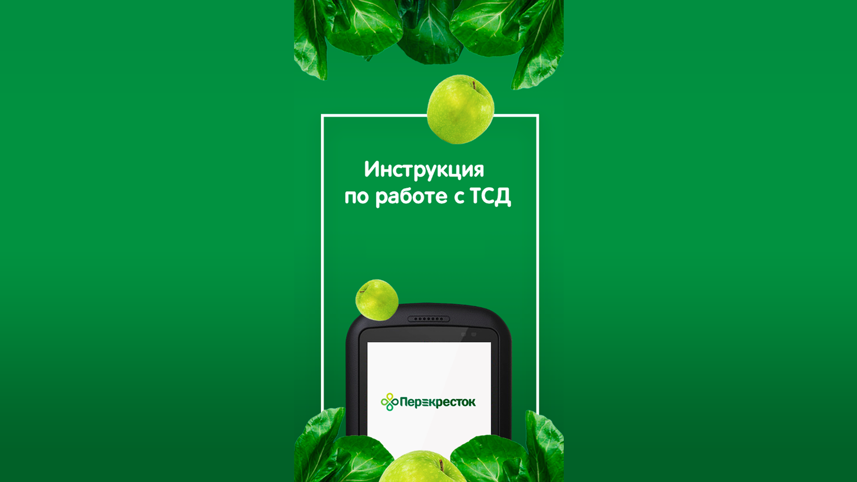 Обучение смартфону для пенсионеров программа