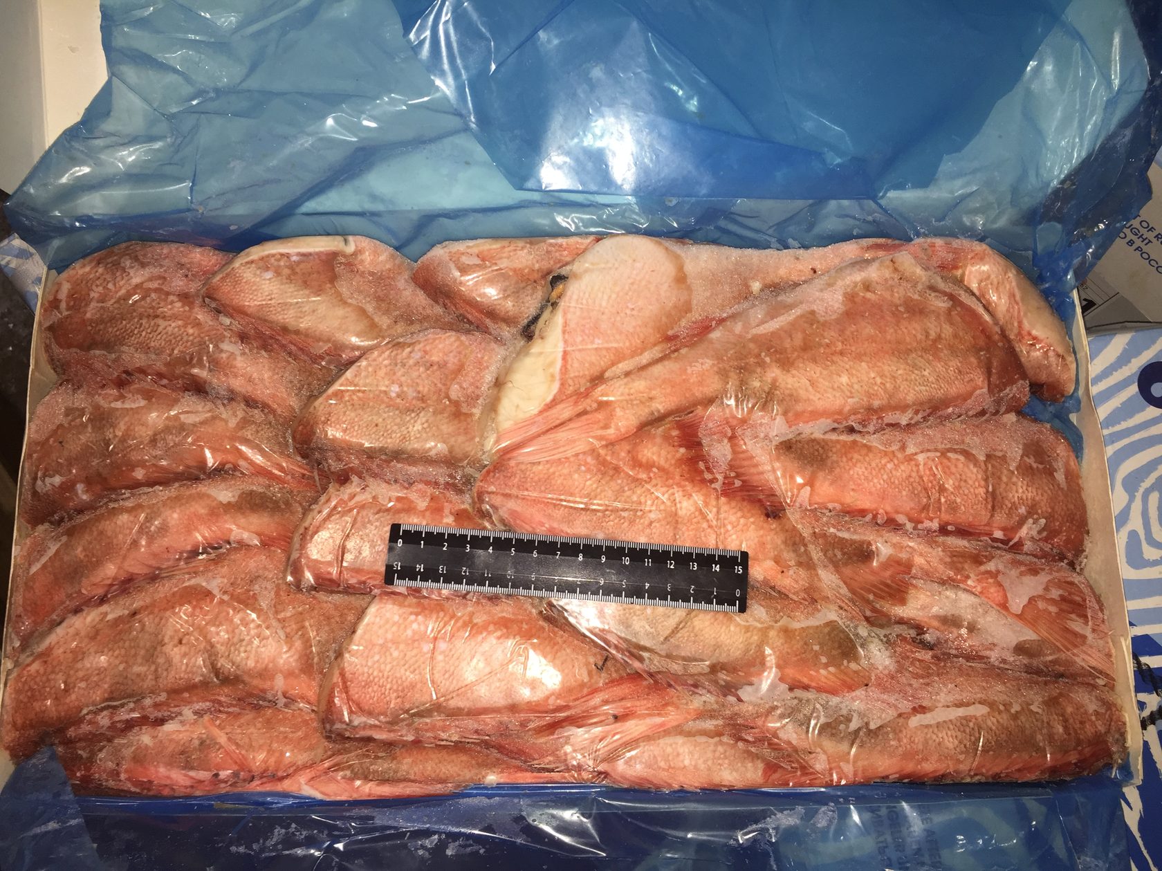 окунь свежемороженый яп рез