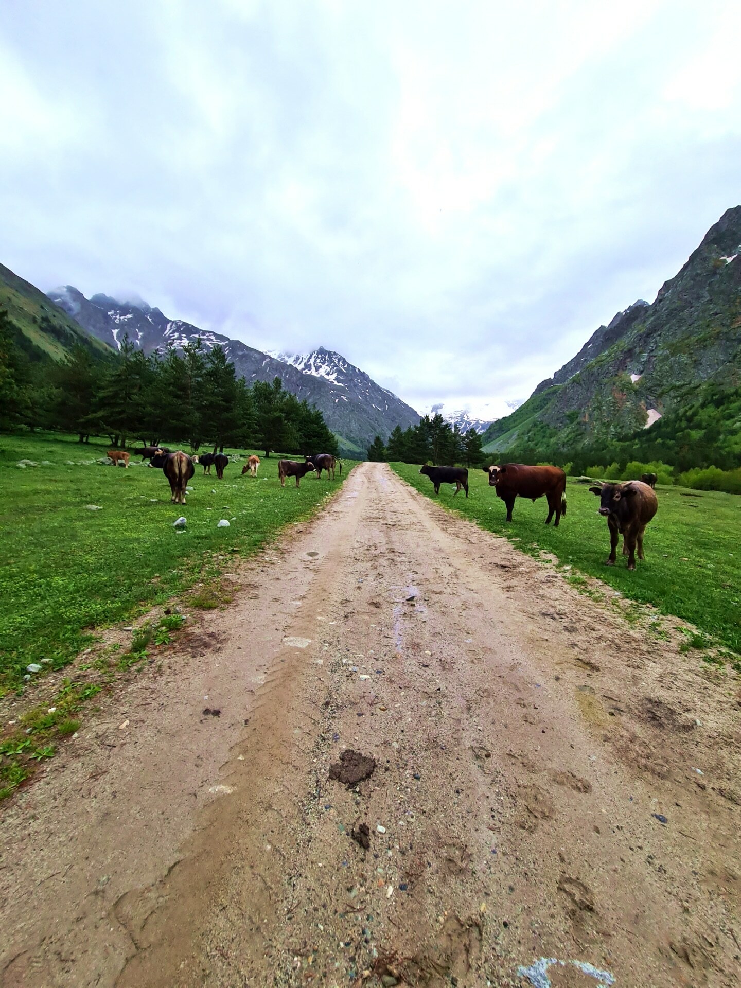 Ущелье Адыр Су Кабардино Балкария