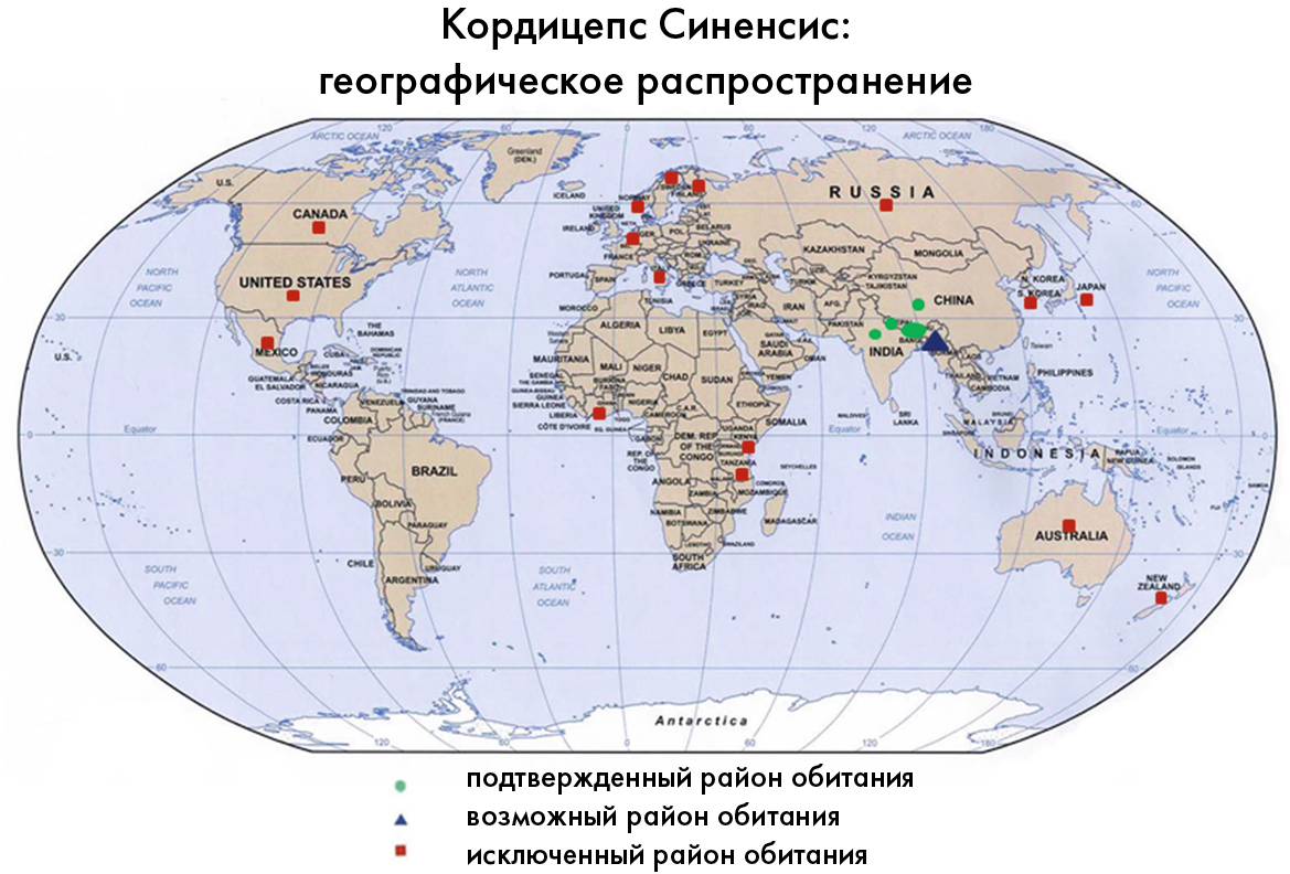 Географическое распределение. Географическое распространение. Распространение бобовых. Географическое распространение простейших карта. Кордицепс ареал произрастания на карте.