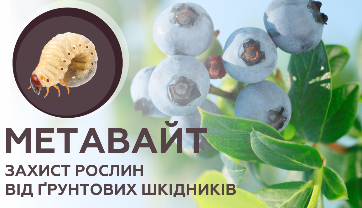 МЕТАВАЙТ - захист рослин від ґрунтових шкідників