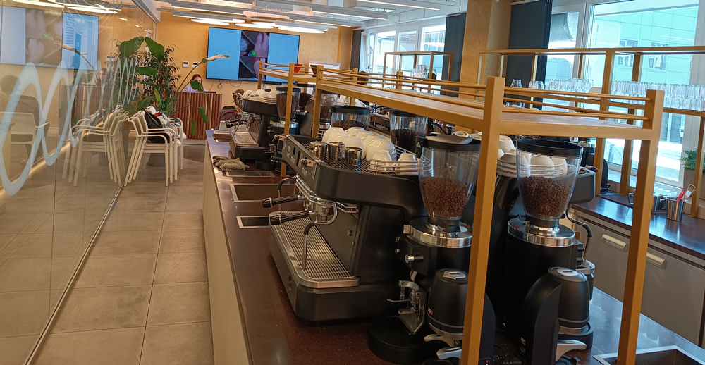 Академия Нефтьмагистраль и Караваевы