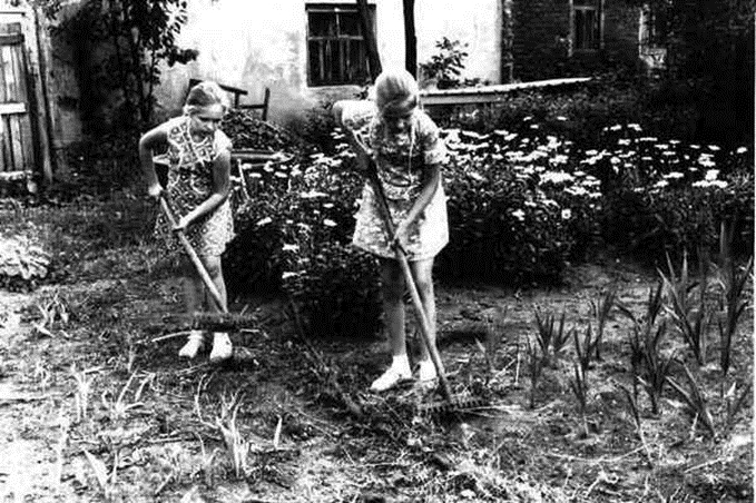 На учебно-опытном участке