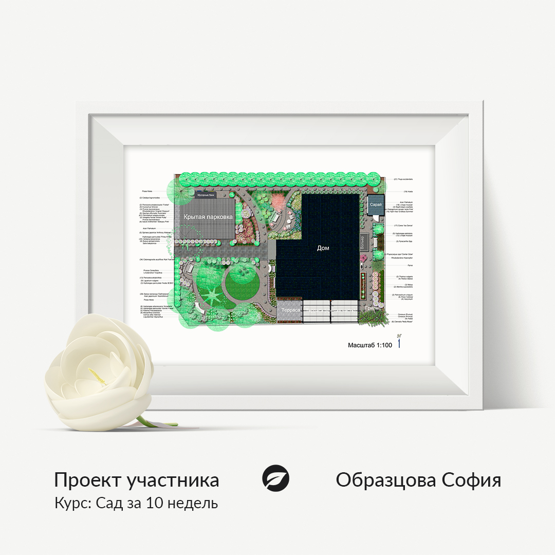 Готовый план участка — работа участника курса ландшафтного дизайна