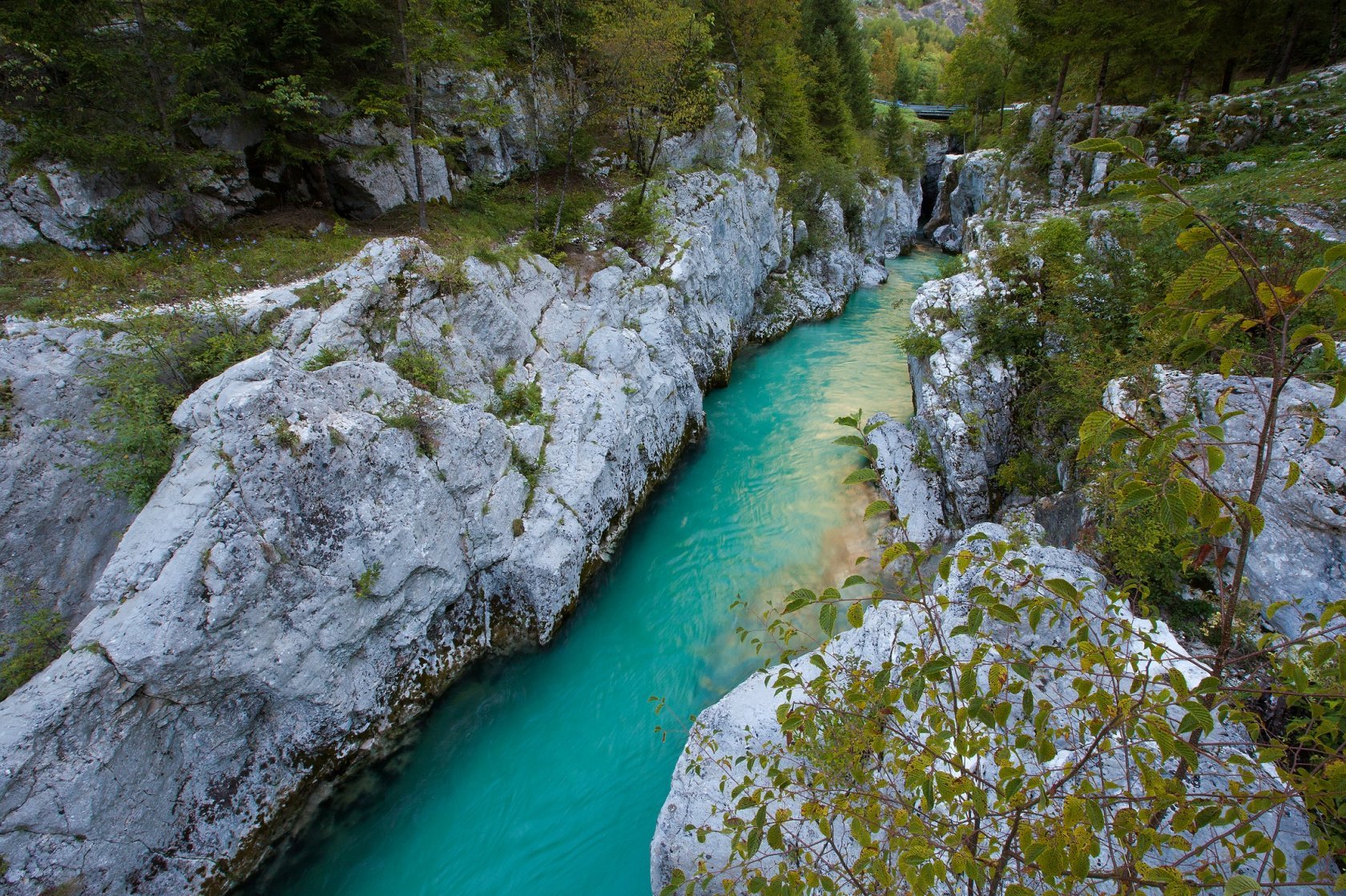 Река Лепеница Словения