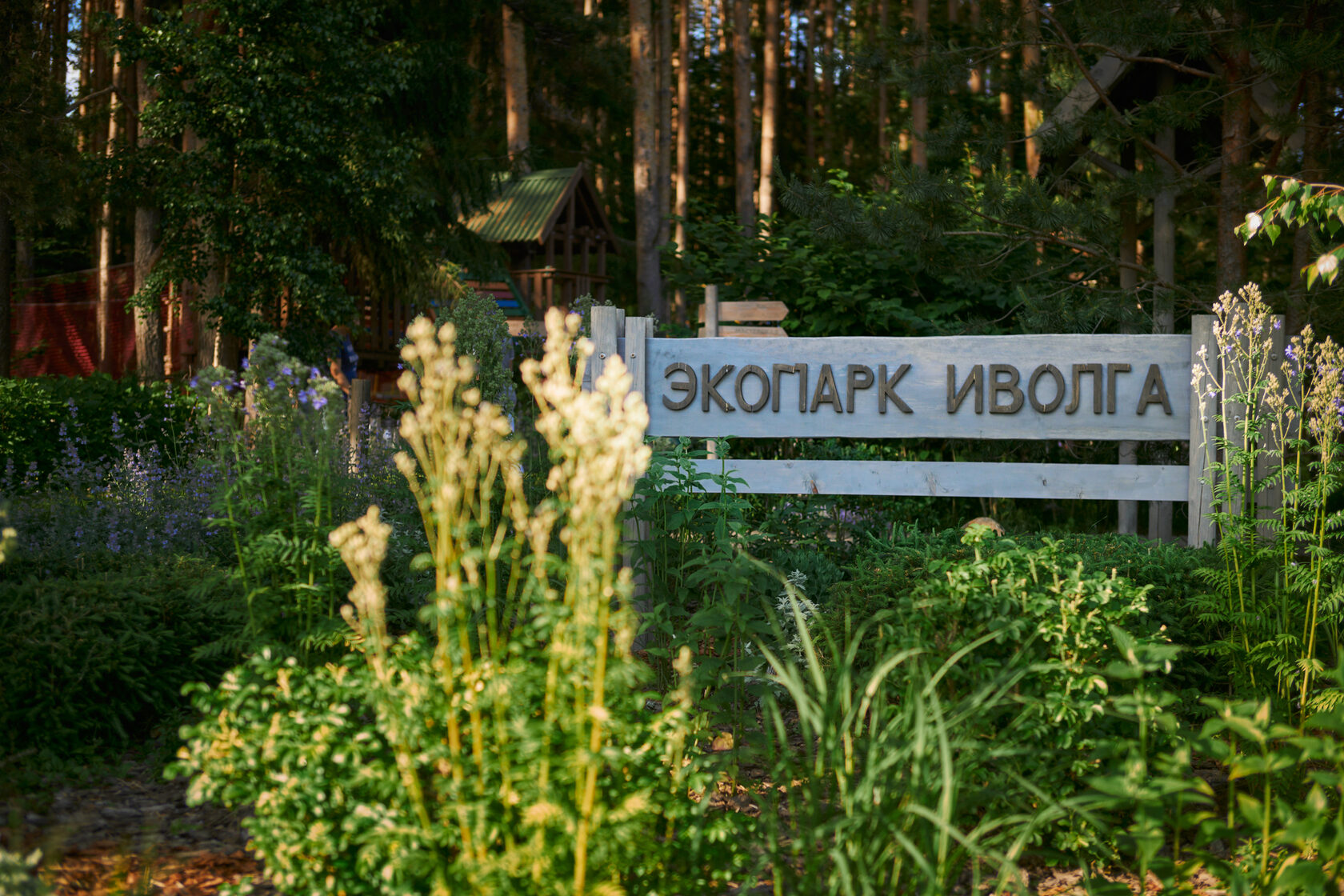 Иволга плес. Парк Иволга Плес. Кемпинг Иволга Плес. Экопарк Иволга. Экопарк Иволга Плес фото.