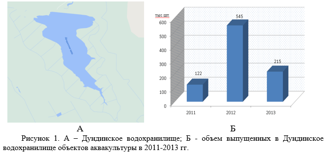 Дундинское водохранилище; Б - объем выпущенных в Дундинское водохранилище объектов аквакультуры в 2011-2013 гг.
