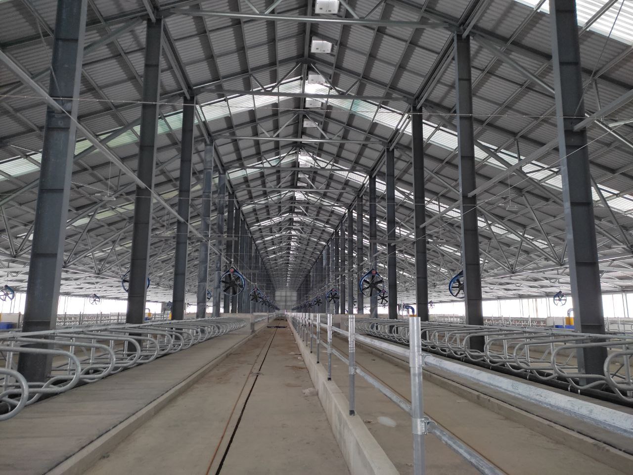 Монтаж вытяжных шахт в коровнике молочного комплекса ООО «Хорошее дело» специалистами Агрокурс