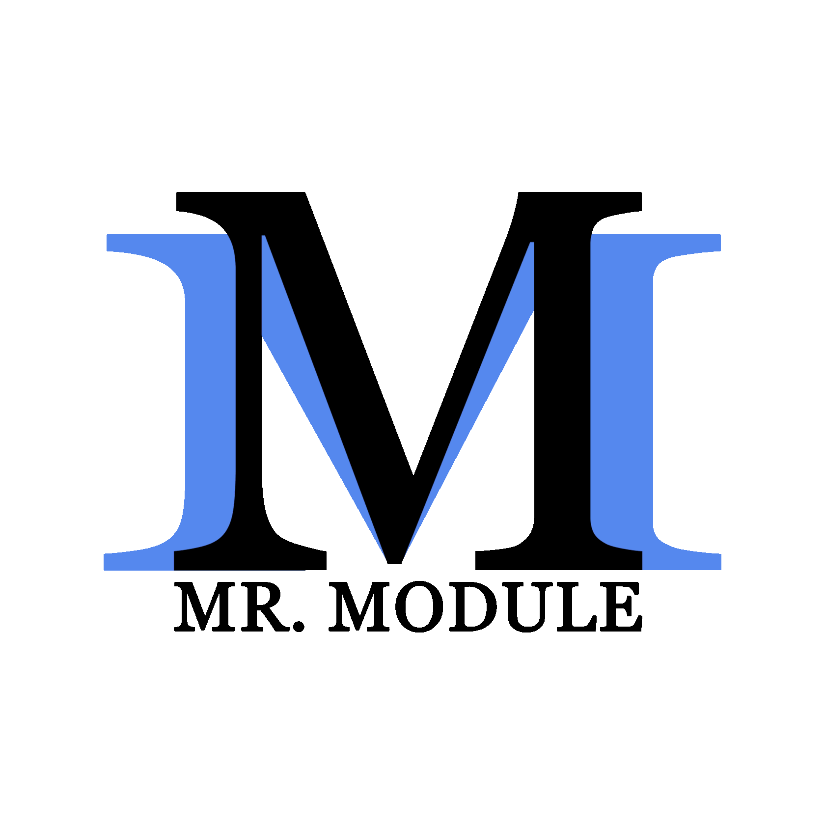  Mr.module&nbsp; 