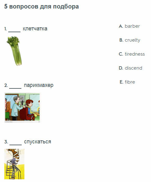 5 вопросов для подбора в тесте в Quizlet