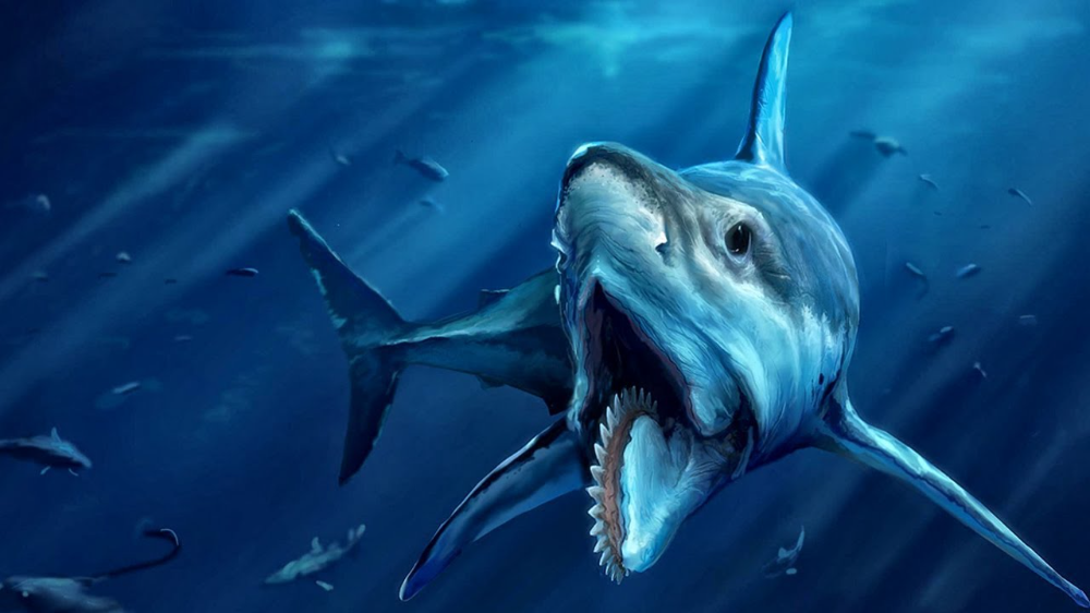 Виды древних акул, ископаемые акулы ∞ Лагуна акул