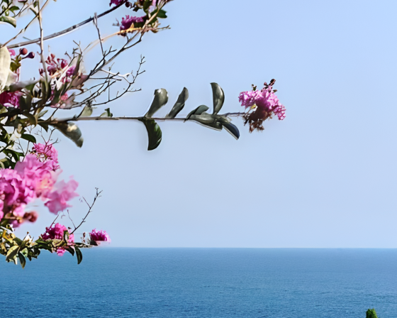 Жилье в Крыму рядом с море