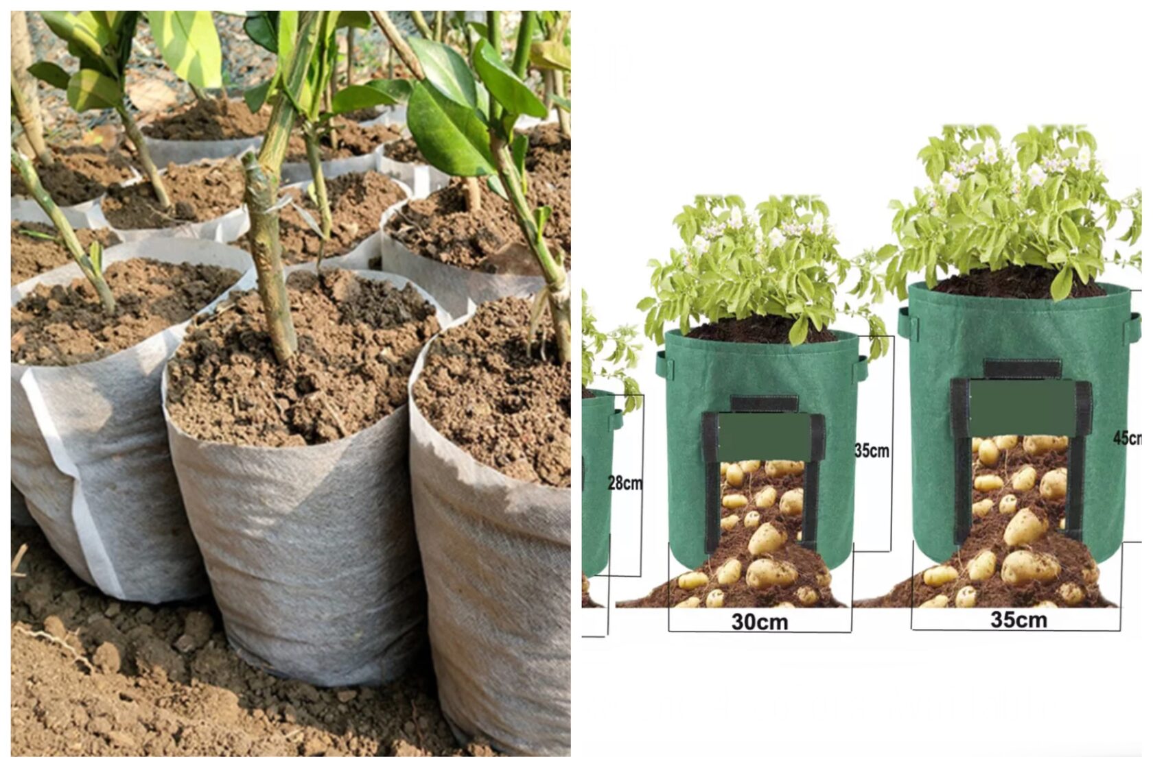 Можно выбрать биоразлагаемые мешки для рассады или удобные мешки для клубневых растений