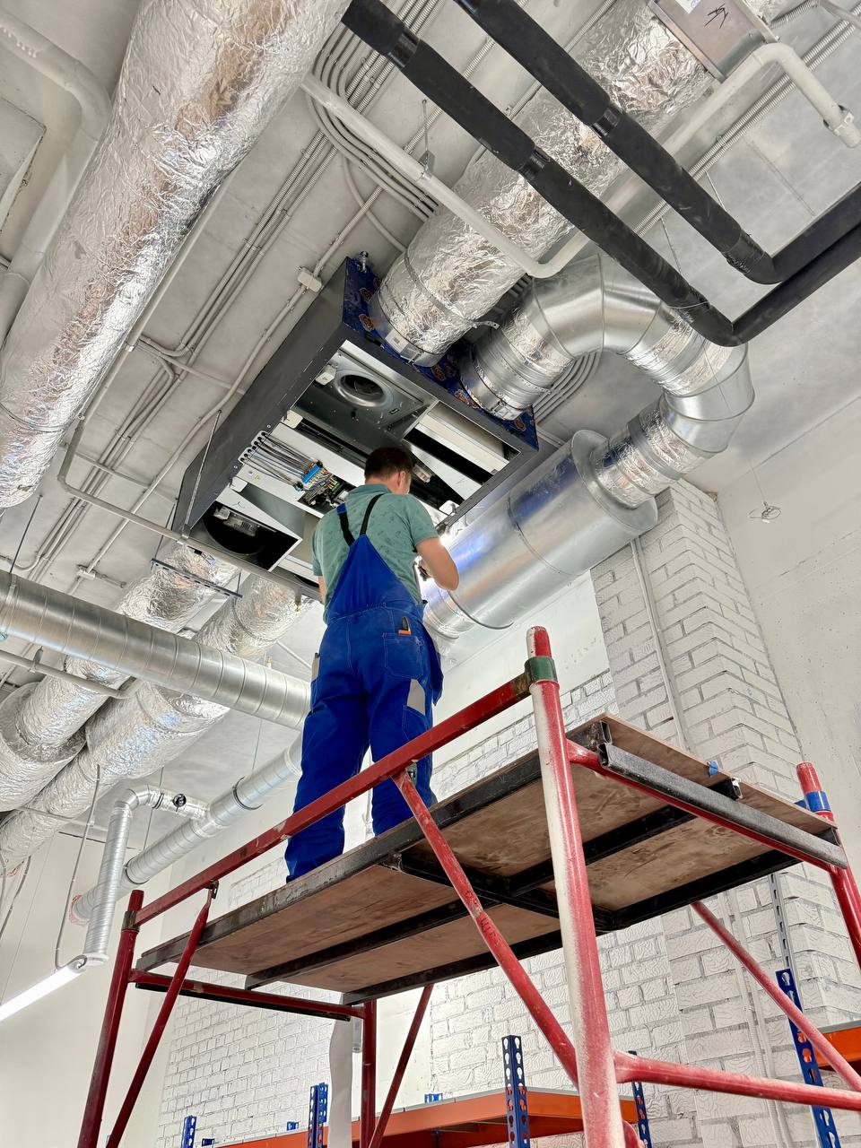 цум, меко, казань, uno, tsum