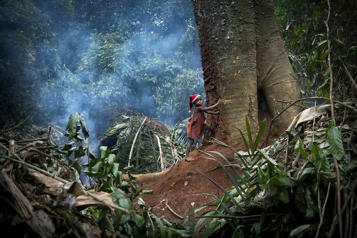 Юго-восточный Камерун: из джунглей появляется миниатюрная изящная фигура, слабый цветовой акцент в исчезающем мире. На протяжении тысячелетий пигмеи бака жили в гармонии с великолепными джунглями на юго-востоке Камеруна, но через поколение большая часть их уникального образа жизни исчезнет навсегда из-за вырубки лесов и промышленных интересов. Фотограф Кэти Гомес Каталина, Испания.