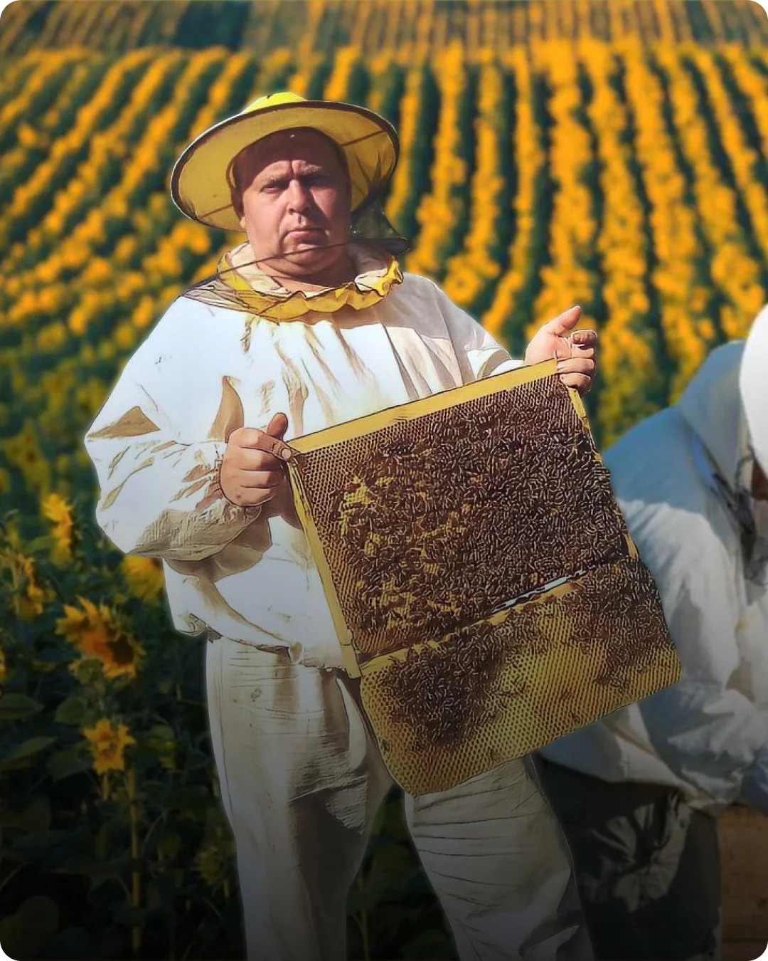 Пчеловодство. Пчеловод. Форма пчеловода. Костюм пчеловода фото.