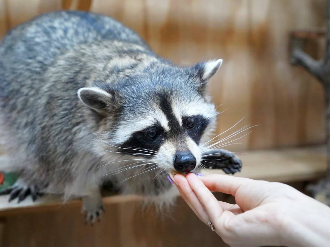 фото нанесения макияжа на лицо девушки 