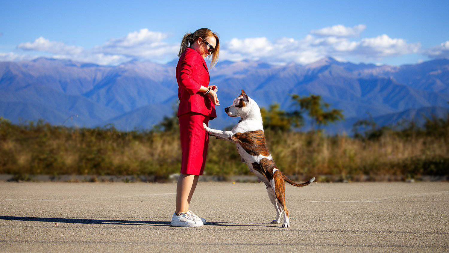 Genesis Star's Kennel