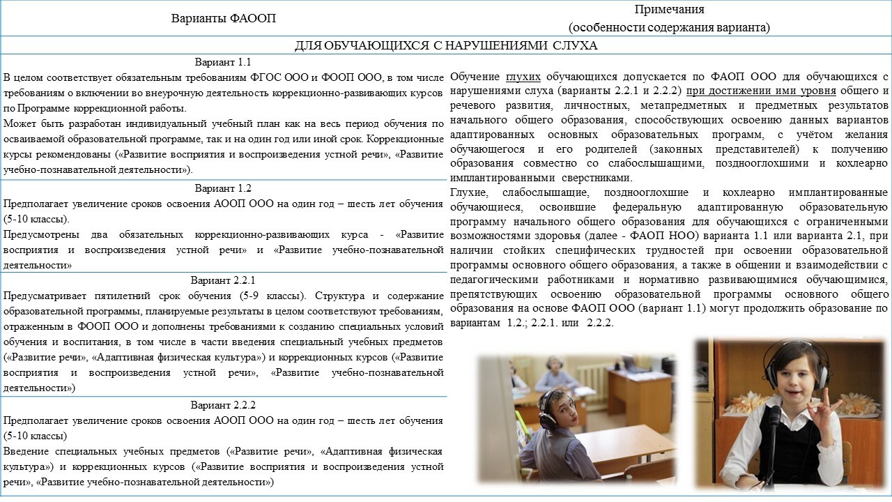Рабочая программа для аооп 1 класс. Рабочая программа для аооп 1 класс