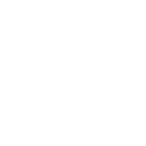 website icon