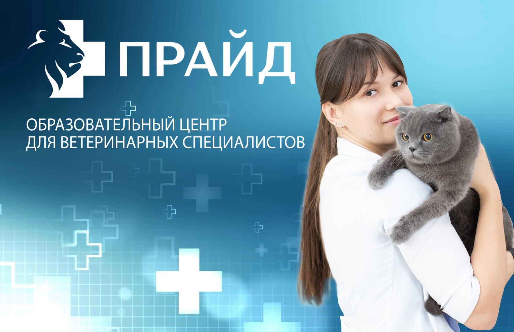 Вебинар: "Мочекаменная болезнь у кошек"