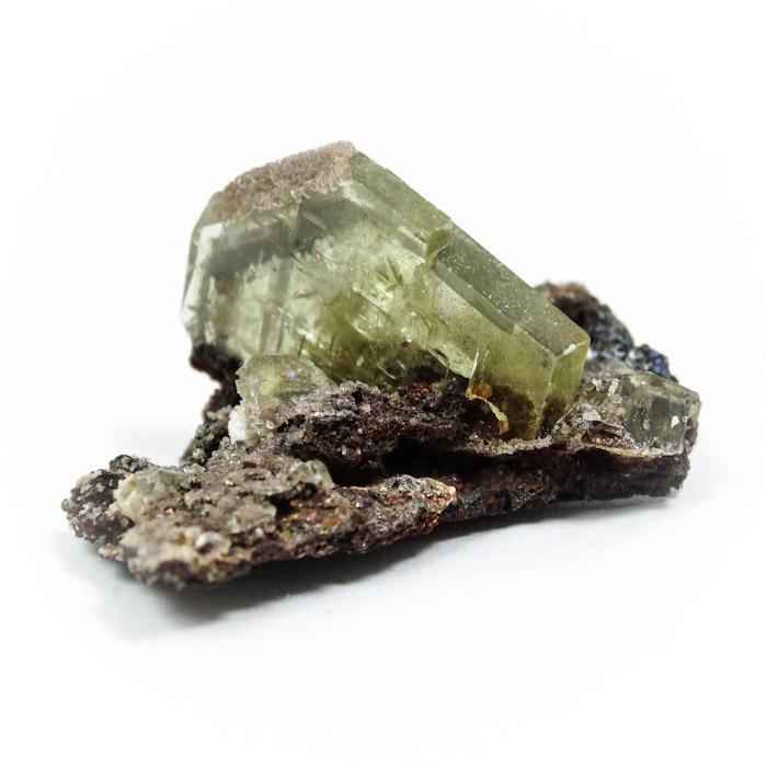 Gree nBArite Morocco