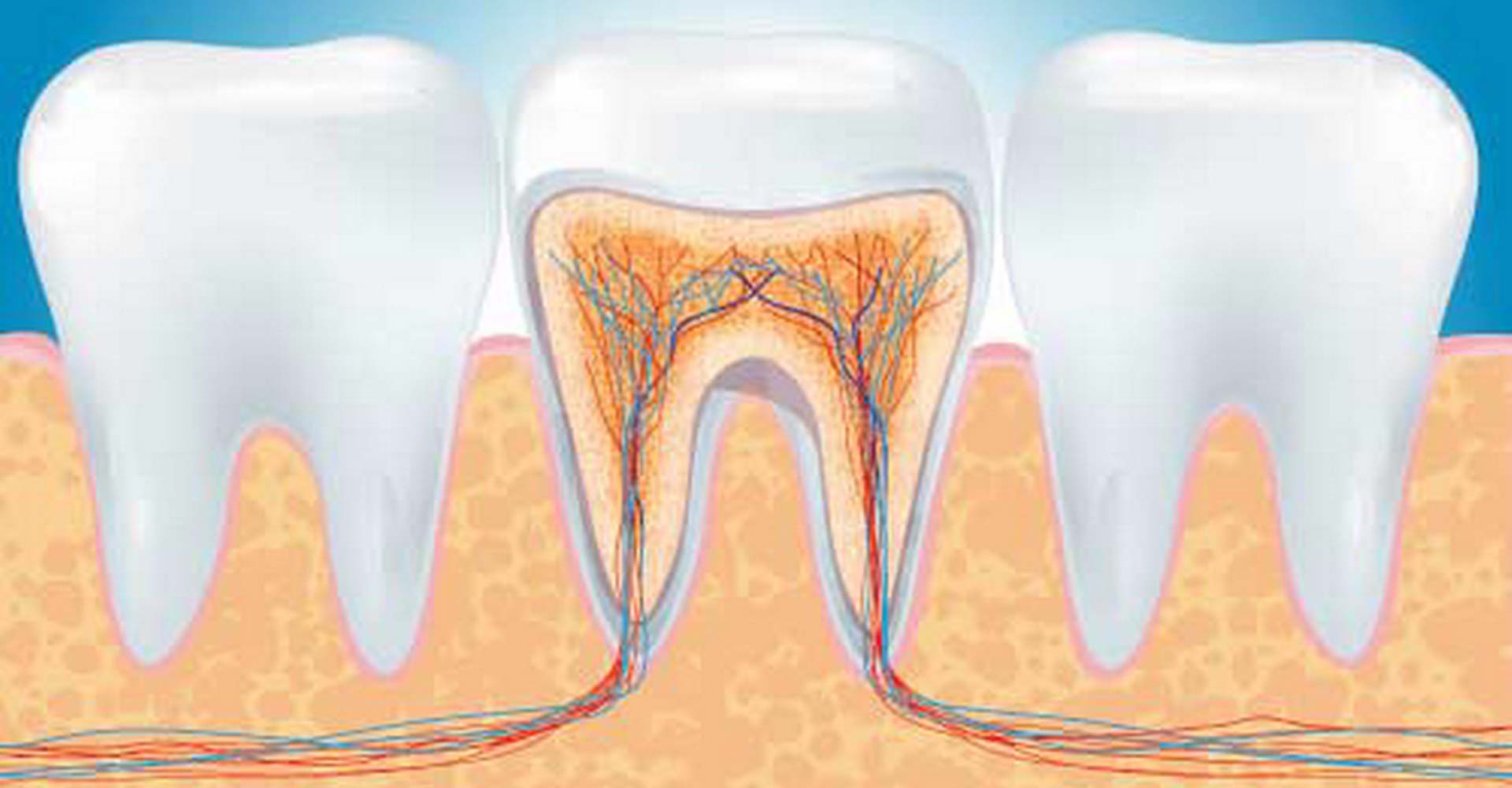 Нерв В Зубе Фото