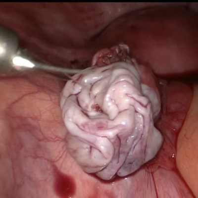 Әйел күйеуінің қарызын өтейді. Порно бейнелер, порно фотолар, автофельцио