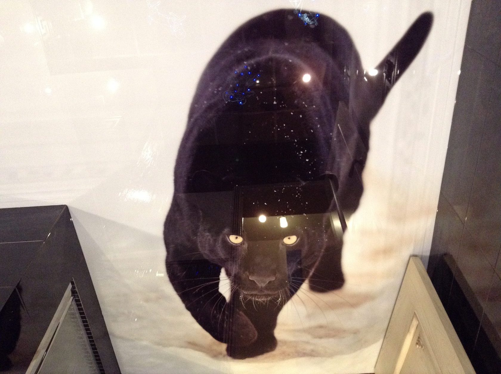 3д пол наливной с фото