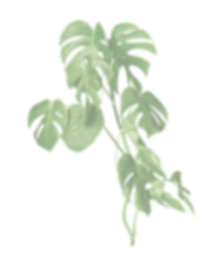 КУРС ПСИХОЛОГА КОНСУЛЬТАНТА